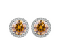 Moissanite Elegance S925 Sterling Silver Stud Earrings