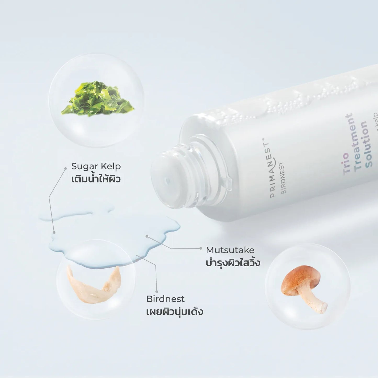 PRIMANEST Birdsnest Trio Treatment Solution 140ml