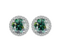 Moissanite Elegance S925 Sterling Silver Stud Earrings
