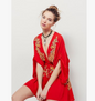 Embroidered V-Neck Dress